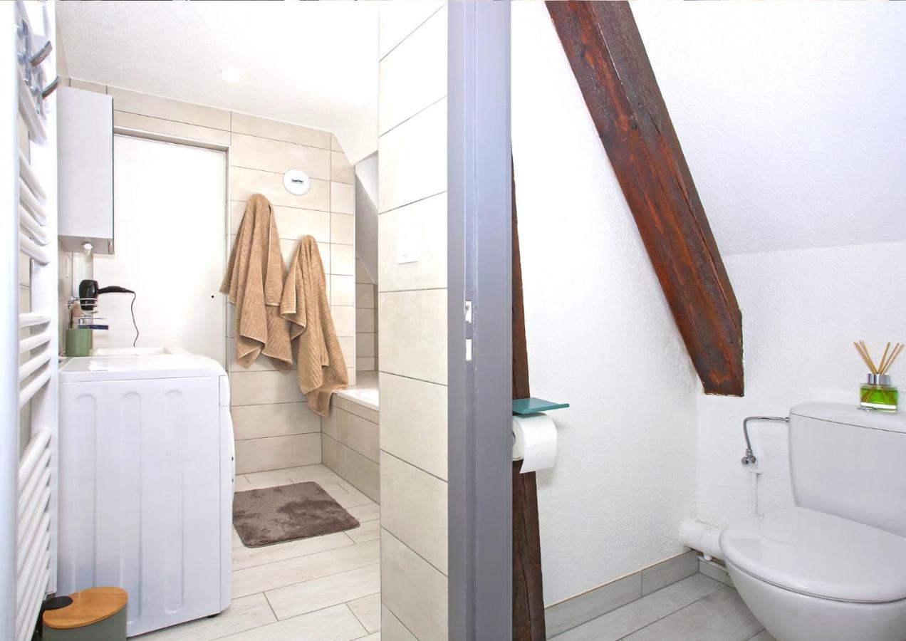 헤게나우 Duplex - Le Cosy - Hyper Centre 아파트 외부 사진